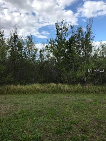 9310 BLACK THORN LOOP, LAND O LAKES, Florida 34638, 3 Bedrooms Bedrooms, 4 Rooms Rooms,2 BathroomsBathrooms,Residential,For sale,BLACK THORN,T2928142