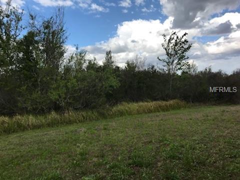 9310 BLACK THORN LOOP, LAND O LAKES, Florida 34638, 3 Bedrooms Bedrooms, 4 Rooms Rooms,2 BathroomsBathrooms,Residential,For sale,BLACK THORN,T2928142