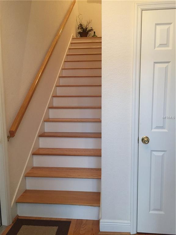 2877 BAYSHORE TRAILS DRIVE, TAMPA, Florida 33611, 4 Bedrooms Bedrooms, 3 Rooms Rooms,3 BathroomsBathrooms,Residential,For sale,BAYSHORE TRAILS,T2928289