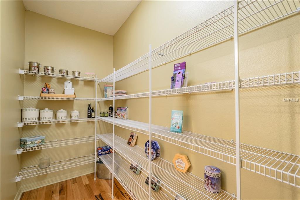 18805 LIVINGSTON AVENUE, LUTZ, Florida 33559, 6 Bedrooms Bedrooms, 13 Rooms Rooms,3 BathroomsBathrooms,Residential,For sale,LIVINGSTON,T2878550