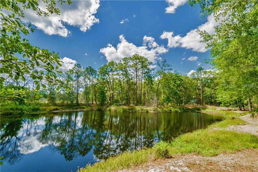 18805 LIVINGSTON AVENUE, LUTZ, Florida 33559, 6 Bedrooms Bedrooms, 13 Rooms Rooms,3 BathroomsBathrooms,Residential,For sale,LIVINGSTON,T2878550