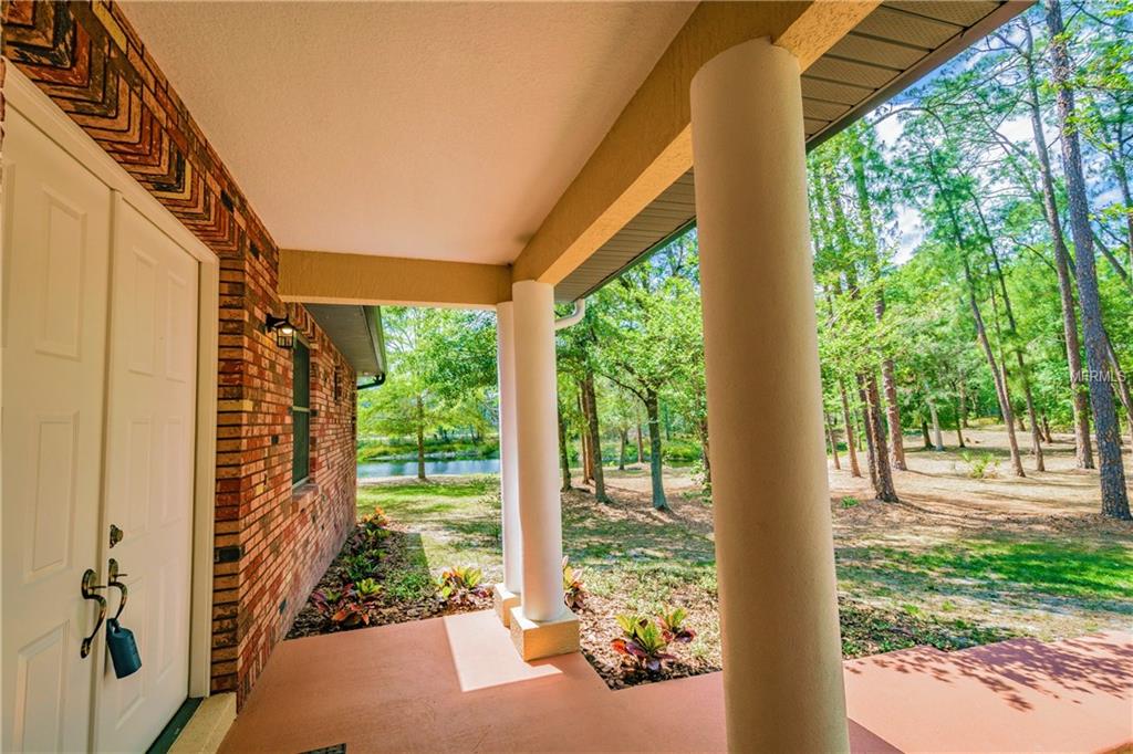 18805 LIVINGSTON AVENUE, LUTZ, Florida 33559, 6 Bedrooms Bedrooms, 13 Rooms Rooms,3 BathroomsBathrooms,Residential,For sale,LIVINGSTON,T2878550