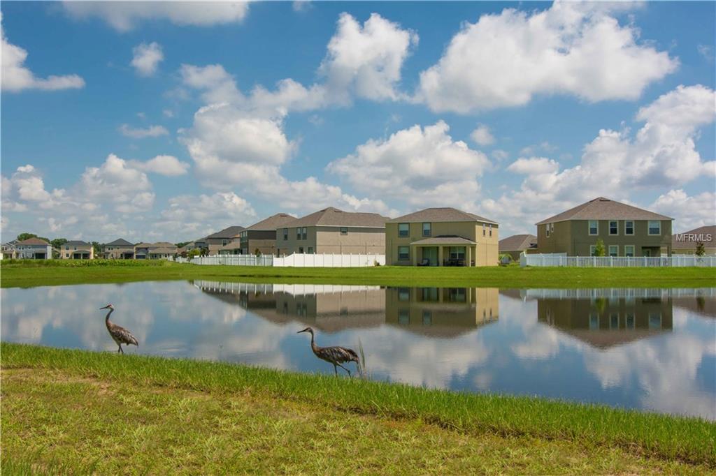 11829 THICKET WOOD DRIVE, RIVERVIEW, Florida 33579, 5 Bedrooms Bedrooms, 10 Rooms Rooms,2 BathroomsBathrooms,Residential,For sale,THICKET WOOD,T2921532