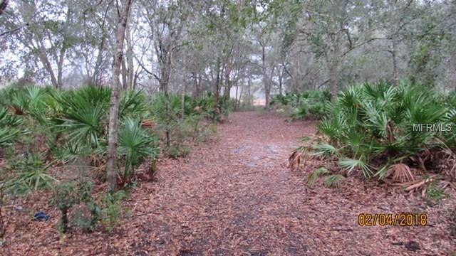 31748 WHITNEY ROAD, LEESBURG, Florida 34748, 2 Bedrooms Bedrooms, 4 Rooms Rooms,1 BathroomBathrooms,Residential,For sale,WHITNEY,T2928144