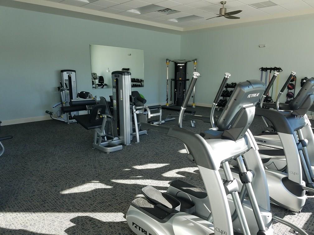 9816 WINGOOD DRIVE, VENICE, Florida 34292, 3 Bedrooms Bedrooms, 6 Rooms Rooms,2 BathroomsBathrooms,Residential,For sale,WINGOOD,A4210083