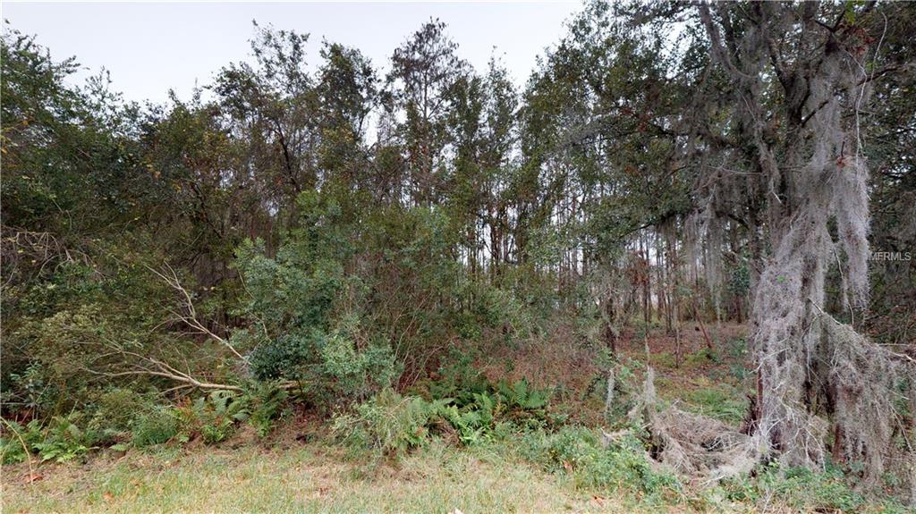 21644 BILLOWY JAUNT DRIVE, LAND O LAKES, Florida 34637, 4 Bedrooms Bedrooms, 3 Rooms Rooms,3 BathroomsBathrooms,Residential,For sale,BILLOWY JAUNT,T2918037