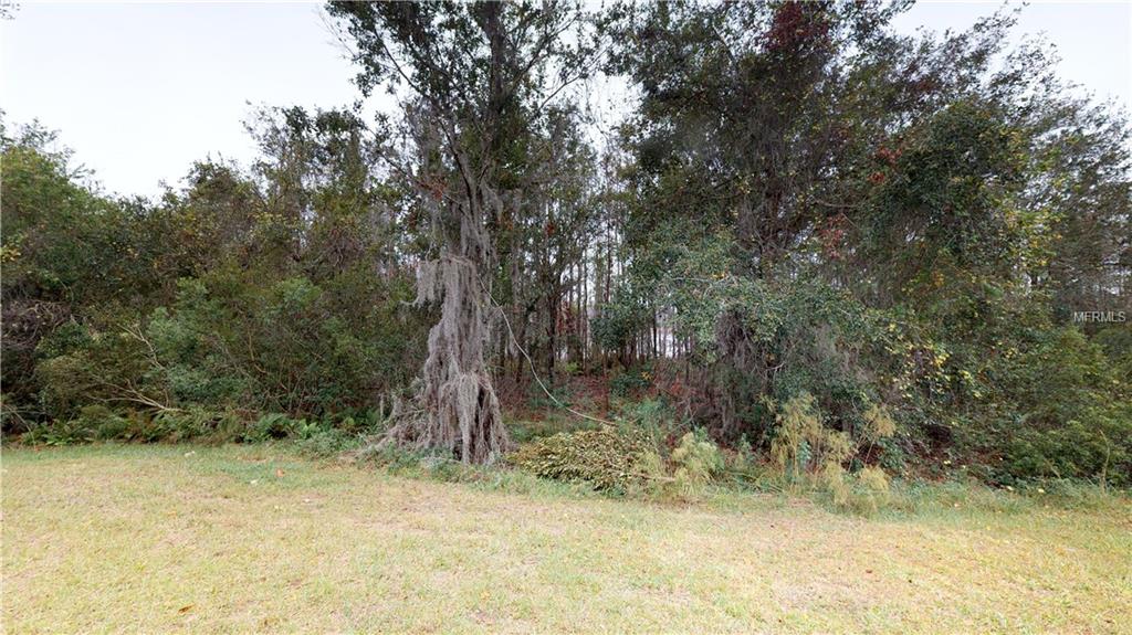 21644 BILLOWY JAUNT DRIVE, LAND O LAKES, Florida 34637, 4 Bedrooms Bedrooms, 3 Rooms Rooms,3 BathroomsBathrooms,Residential,For sale,BILLOWY JAUNT,T2918037