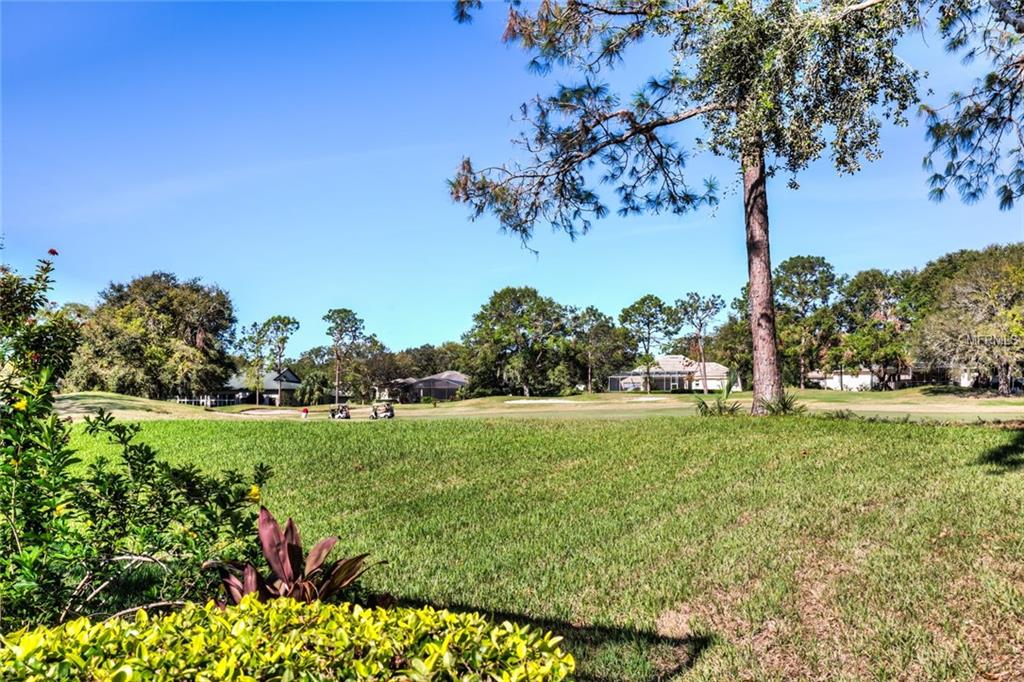 6019 SPINNAKER LOOP, LADY LAKE, Florida 32159, 3 Bedrooms Bedrooms, 7 Rooms Rooms,2 BathroomsBathrooms,Residential,For sale,SPINNAKER,G4848097