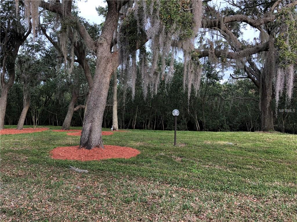 4807 MARINE PARKWAY, NEW PORT RICHEY, Florida 34652, 1 Bedroom Bedrooms, 5 Rooms Rooms,1 BathroomBathrooms,Residential,For sale,MARINE,W7637602