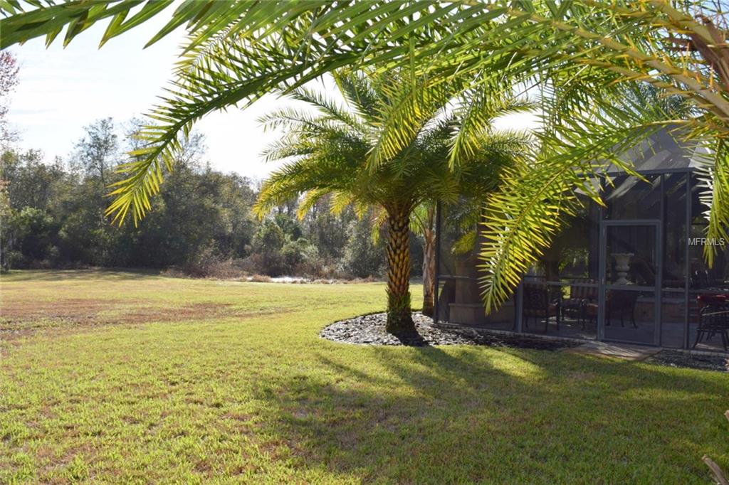 2503 MARTUCCI ROAD, SEFFNER, Florida 33584, 3 Bedrooms Bedrooms, 6 Rooms Rooms,3 BathroomsBathrooms,Residential,For sale,MARTUCCI,T2927731