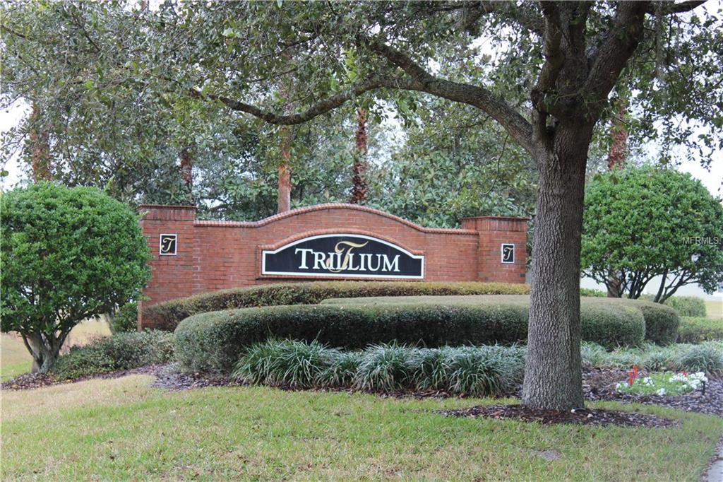 775 SEA HOLLY DRIVE, BROOKSVILLE, Florida 34604, 4 Bedrooms Bedrooms, 9 Rooms Rooms,2 BathroomsBathrooms,Residential,For sale,SEA HOLLY,T2927967