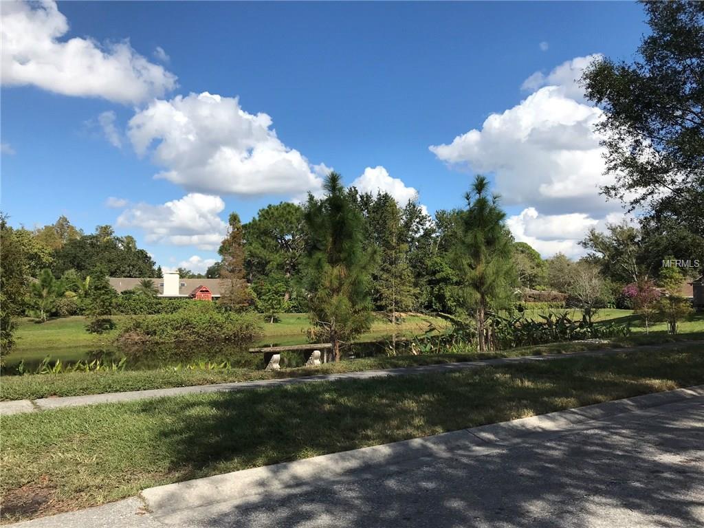 11736 CARROLLWOOD COVE DRIVE, TAMPA, Florida 33624, 4 Bedrooms Bedrooms, 3 Rooms Rooms,2 BathroomsBathrooms,Residential,For sale,CARROLLWOOD COVE,T2914143