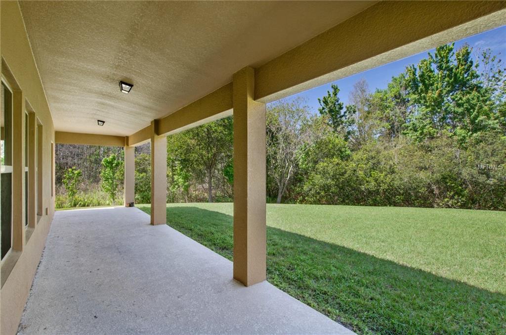 4964 ROLLING GREEN DRIVE, WESLEY CHAPEL, Florida 33543, 5 Bedrooms Bedrooms, 10 Rooms Rooms,4 BathroomsBathrooms,Residential,For sale,ROLLING GREEN,T2928151