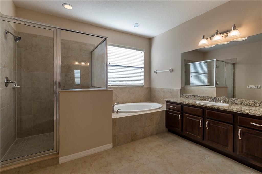 19330 WATER MAPLE DRIVE, TAMPA, Florida 33647, 4 Bedrooms Bedrooms, 3 Rooms Rooms,3 BathroomsBathrooms,Residential,For sale,WATER MAPLE,T2926516