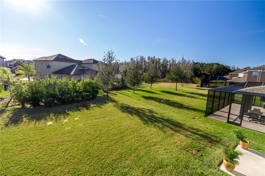 19330 WATER MAPLE DRIVE, TAMPA, Florida 33647, 4 Bedrooms Bedrooms, 3 Rooms Rooms,3 BathroomsBathrooms,Residential,For sale,WATER MAPLE,T2926516