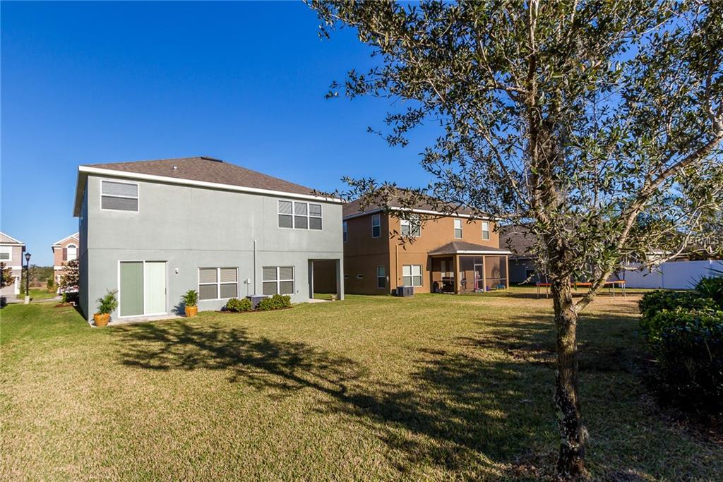 19330 WATER MAPLE DRIVE, TAMPA, Florida 33647, 4 Bedrooms Bedrooms, 3 Rooms Rooms,3 BathroomsBathrooms,Residential,For sale,WATER MAPLE,T2926516