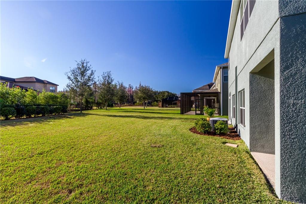 19330 WATER MAPLE DRIVE, TAMPA, Florida 33647, 4 Bedrooms Bedrooms, 3 Rooms Rooms,3 BathroomsBathrooms,Residential,For sale,WATER MAPLE,T2926516