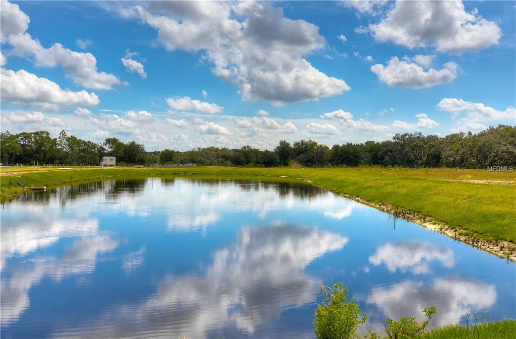 8944 INDIGO TRAIL LOOP, RIVERVIEW, Florida 33569, 3 Bedrooms Bedrooms, 5 Rooms Rooms,2 BathroomsBathrooms,Residential,For sale,INDIGO TRAIL,T2896409