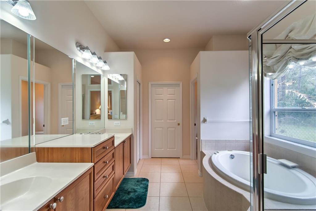 6106 KINGBIRD MANOR DR, LITHIA, Florida 33547, 3 Bedrooms Bedrooms, 7 Rooms Rooms,3 BathroomsBathrooms,Residential,For sale,KINGBIRD MANOR DR,T2926974