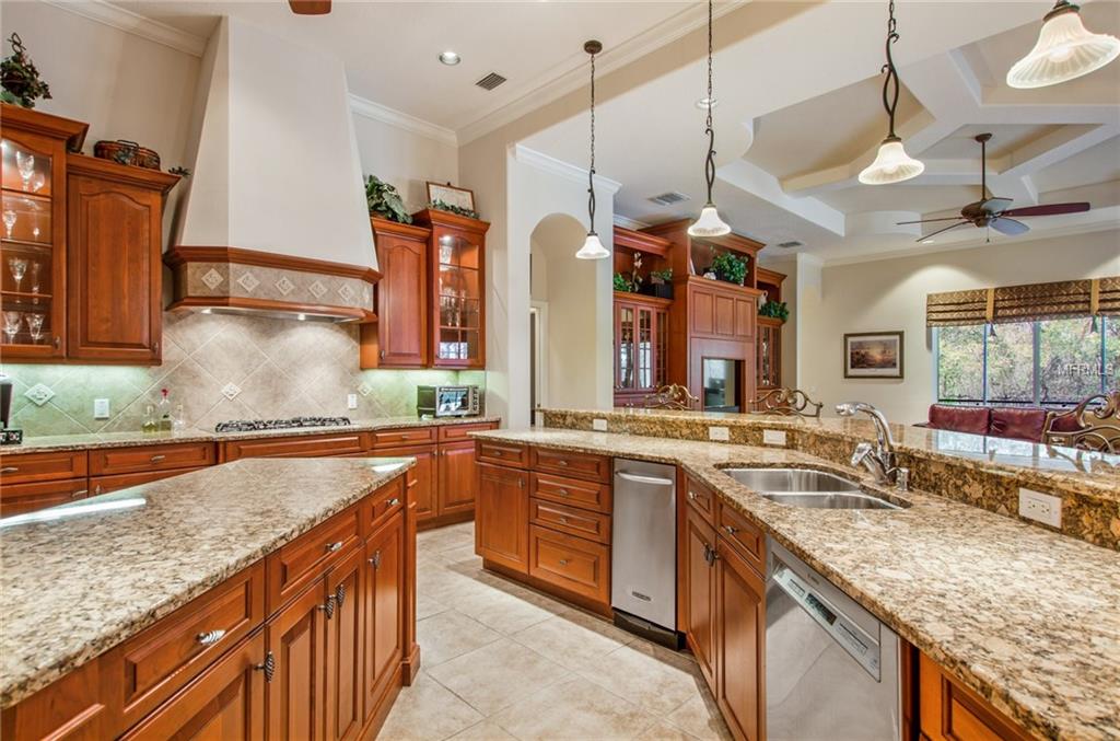 21215 SKY VISTA DRIVE, LAND O LAKES, Florida 34637, 4 Bedrooms Bedrooms, 10 Rooms Rooms,5 BathroomsBathrooms,Residential,For sale,SKY VISTA,T2927975