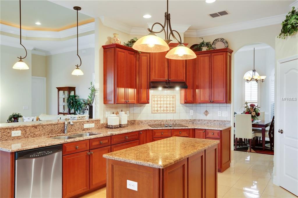 13804 CARRYBACK DRIVE, DADE CITY, Florida 33525, 3 Bedrooms Bedrooms, 8 Rooms Rooms,3 BathroomsBathrooms,Residential,For sale,CARRYBACK,E2205637