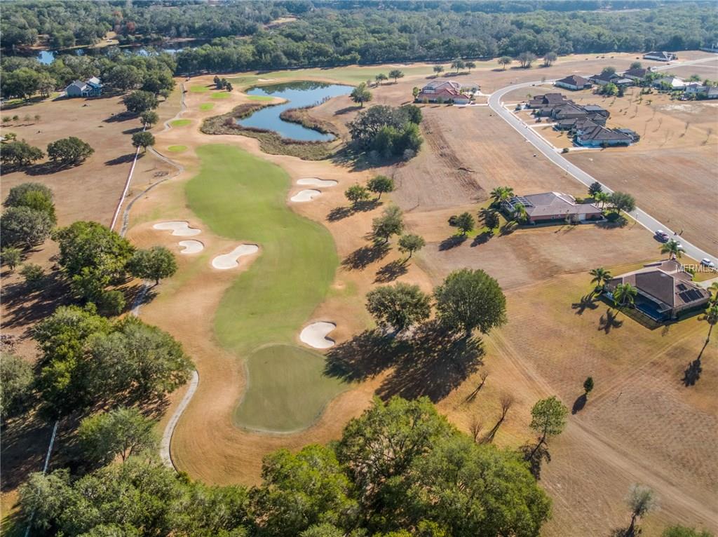 13804 CARRYBACK DRIVE, DADE CITY, Florida 33525, 3 Bedrooms Bedrooms, 8 Rooms Rooms,3 BathroomsBathrooms,Residential,For sale,CARRYBACK,E2205637