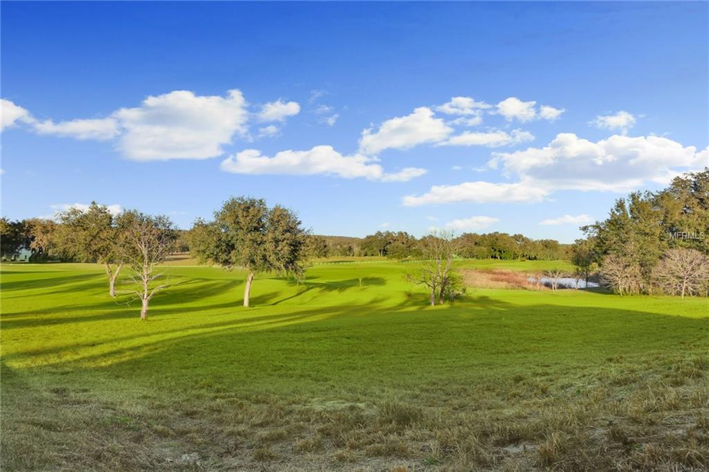 13804 CARRYBACK DRIVE, DADE CITY, Florida 33525, 3 Bedrooms Bedrooms, 8 Rooms Rooms,3 BathroomsBathrooms,Residential,For sale,CARRYBACK,E2205637