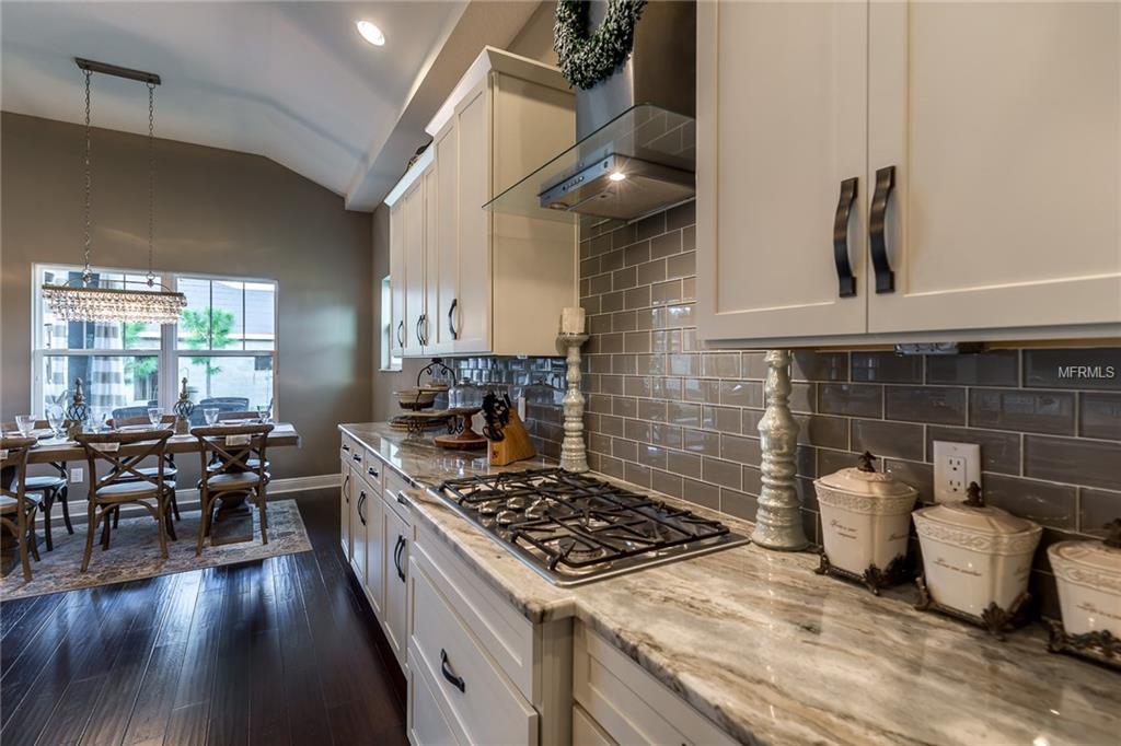 19543 LONESOME PINE DRIVE, LAND O LAKES, Florida 34638, 4 Bedrooms Bedrooms, 10 Rooms Rooms,4 BathroomsBathrooms,Residential,For sale,LONESOME PINE,T2922648