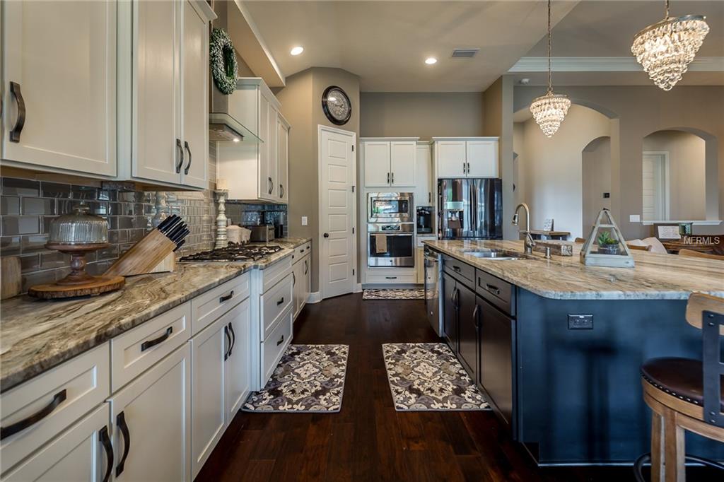 19543 LONESOME PINE DRIVE, LAND O LAKES, Florida 34638, 4 Bedrooms Bedrooms, 10 Rooms Rooms,4 BathroomsBathrooms,Residential,For sale,LONESOME PINE,T2922648