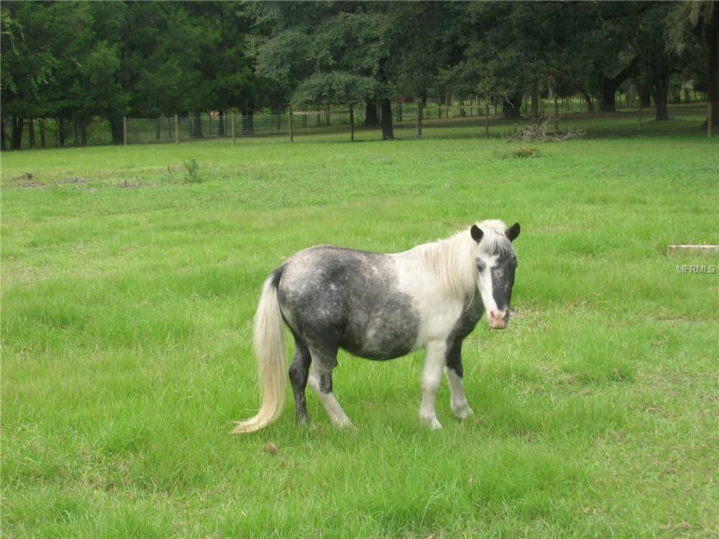 18111 LAPORTE LANE, SPRING HILL, Florida 34610, 5 Bedrooms Bedrooms, 5 Rooms Rooms,4 BathroomsBathrooms,Residential,For sale,LAPORTE,T2927976