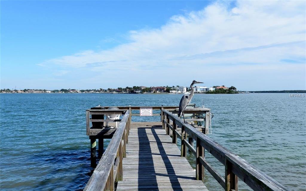 6219 PALMA DEL MAR BOULEVARD S, ST PETERSBURG, Florida 33715, 2 Bedrooms Bedrooms, 6 Rooms Rooms,2 BathroomsBathrooms,Residential,For sale,PALMA DEL MAR,A4203081