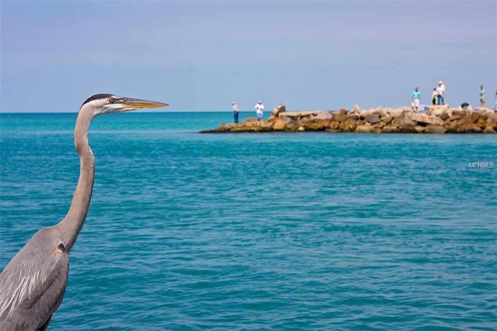 999 INLET CIRCLE, VENICE, Florida 34285, 2 Bedrooms Bedrooms, 6 Rooms Rooms,2 BathroomsBathrooms,Residential,For sale,INLET,N5915306