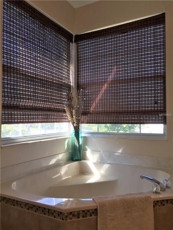 10443 SPARKLE COURT, ORLANDO, Florida 32836, 3 Bedrooms Bedrooms, 6 Rooms Rooms,2 BathroomsBathrooms,Residential,For sale,SPARKLE,O5561115