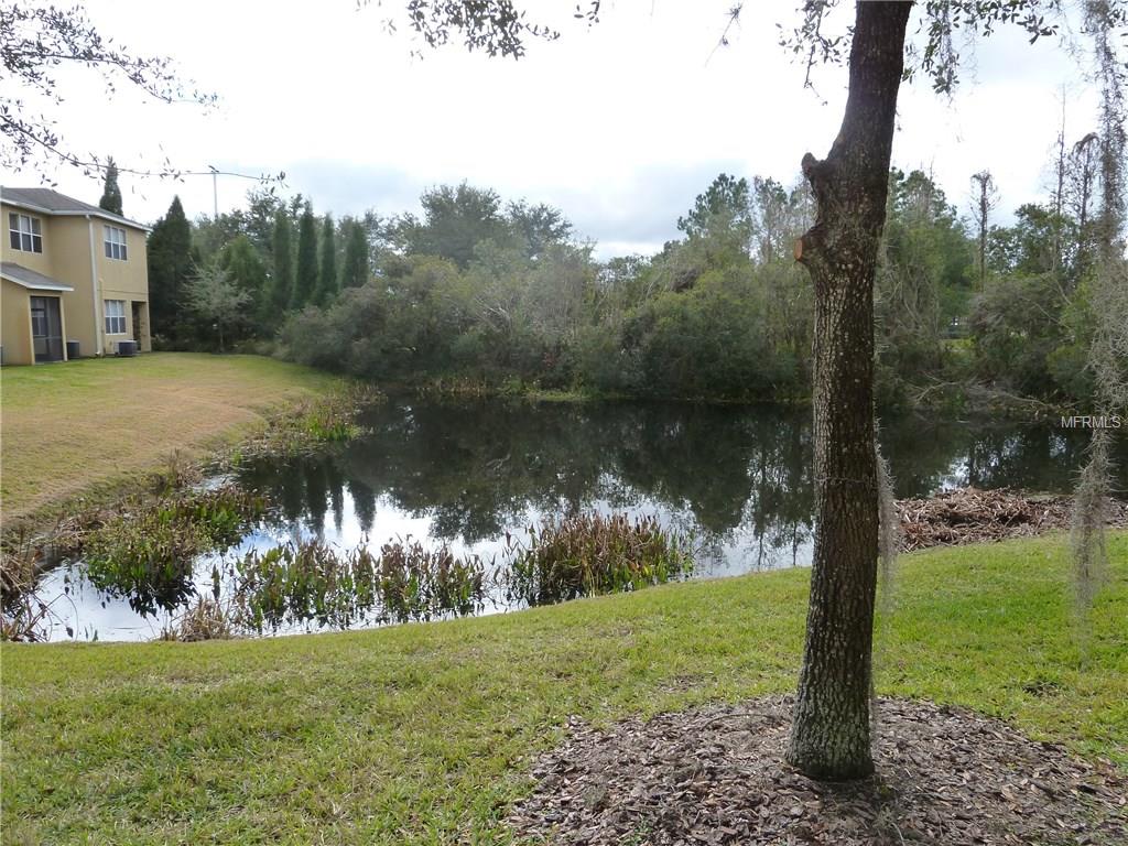 10309 STONE MOSS AVENUE, TAMPA, Florida 33647, 2 Bedrooms Bedrooms, 4 Rooms Rooms,2 BathroomsBathrooms,Residential,For sale,STONE MOSS,T2923697