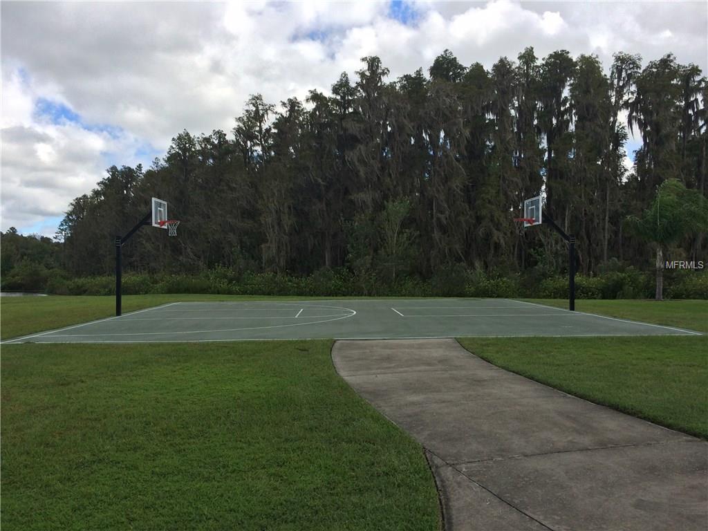 10309 STONE MOSS AVENUE, TAMPA, Florida 33647, 2 Bedrooms Bedrooms, 4 Rooms Rooms,2 BathroomsBathrooms,Residential,For sale,STONE MOSS,T2923697