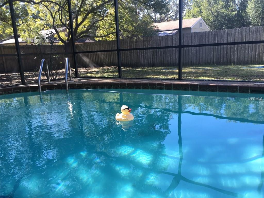 504 FAYETTE CIRCLE N, SAFETY HARBOR, Florida 34695, 3 Bedrooms Bedrooms, 5 Rooms Rooms,2 BathroomsBathrooms,Residential,For sale,FAYETTE,U7843155