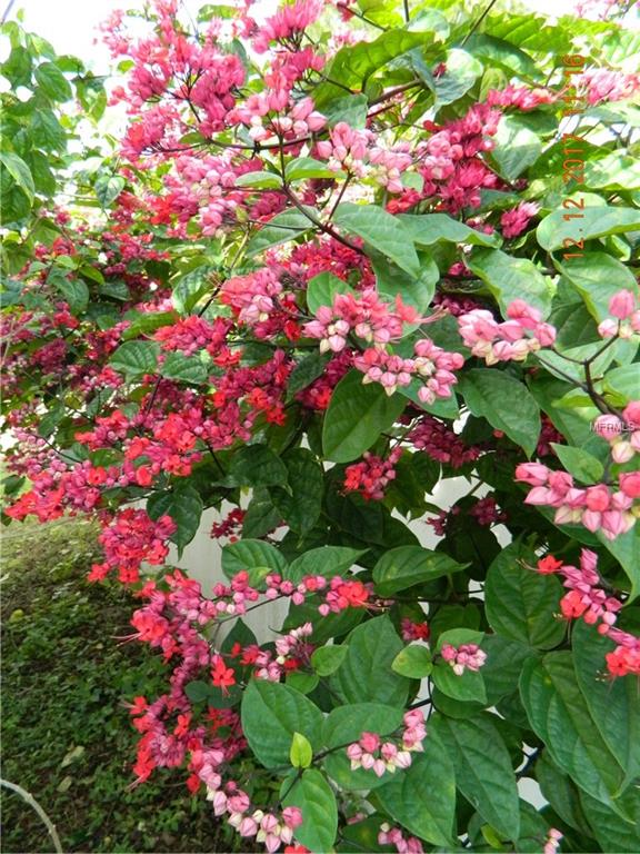 1009 CABOT STREET, PORT CHARLOTTE, Florida 33953, 3 Bedrooms Bedrooms, 9 Rooms Rooms,2 BathroomsBathrooms,Residential,For sale,CABOT,C7248977