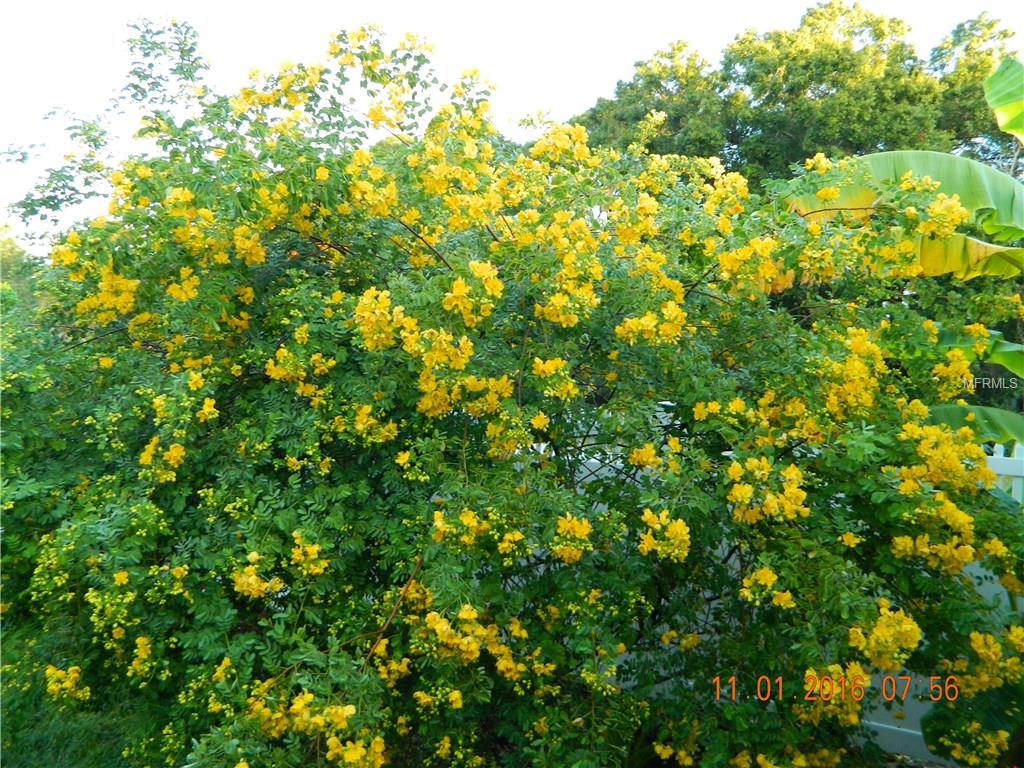 1009 CABOT STREET, PORT CHARLOTTE, Florida 33953, 3 Bedrooms Bedrooms, 9 Rooms Rooms,2 BathroomsBathrooms,Residential,For sale,CABOT,C7248977