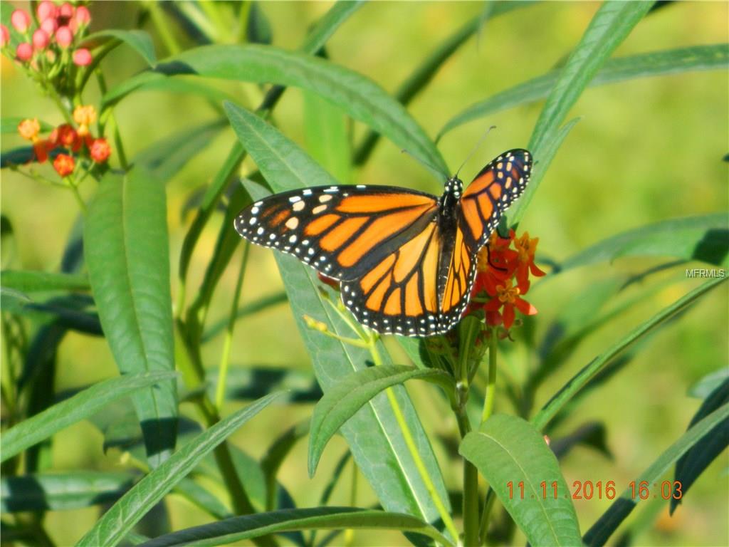 1009 CABOT STREET, PORT CHARLOTTE, Florida 33953, 3 Bedrooms Bedrooms, 9 Rooms Rooms,2 BathroomsBathrooms,Residential,For sale,CABOT,C7248977