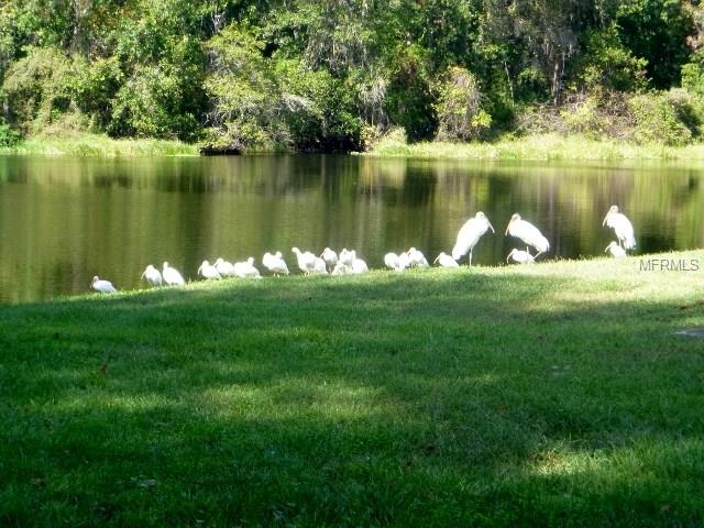 11927 BOYNTON LANE, NEW PORT RICHEY, Florida 34654, 1 Bedroom Bedrooms, 3 Rooms Rooms,1 BathroomBathrooms,Residential,For sale,BOYNTON,W7637819