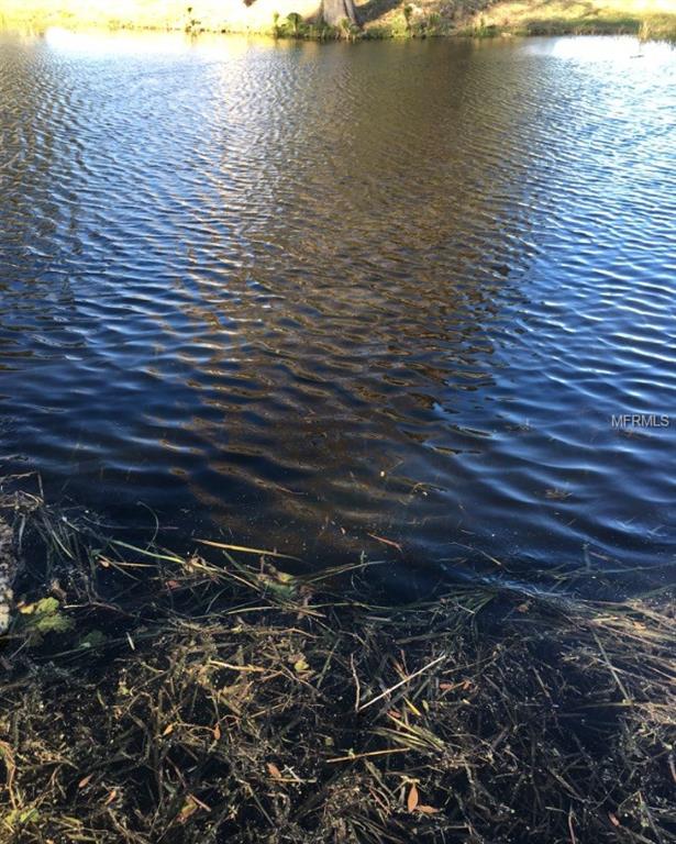 7247 TREASURE ISLAND ROAD, LEESBURG, Florida 34788, 3 Bedrooms Bedrooms, 5 Rooms Rooms,2 BathroomsBathrooms,Residential,For sale,TREASURE ISLAND,G4850573