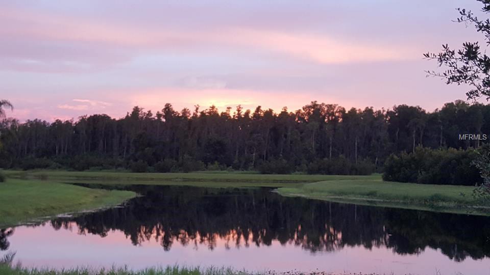 15822 AURORA LAKE CIRCLE, WIMAUMA, Florida 33598, 2 Bedrooms Bedrooms, 5 Rooms Rooms,2 BathroomsBathrooms,Residential,For sale,AURORA LAKE,A4207160