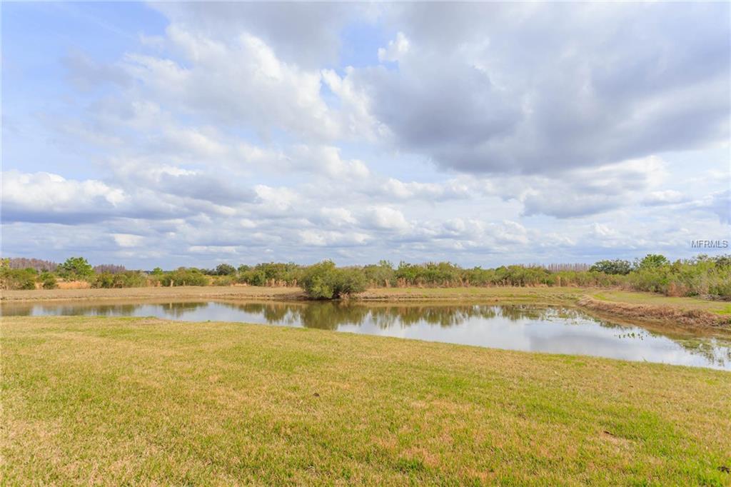 32100 WENLOCK LOOP, WESLEY CHAPEL, Florida 33543, 5 Bedrooms Bedrooms, 9 Rooms Rooms,5 BathroomsBathrooms,Residential,For sale,WENLOCK,T2928167