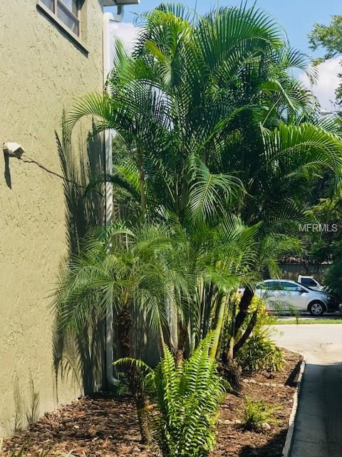 717 N HIMES AVENUE, TAMPA, Florida 33609, 3 Bedrooms Bedrooms, 3 Rooms Rooms,2 BathroomsBathrooms,Residential,For sale,HIMES,O5536277