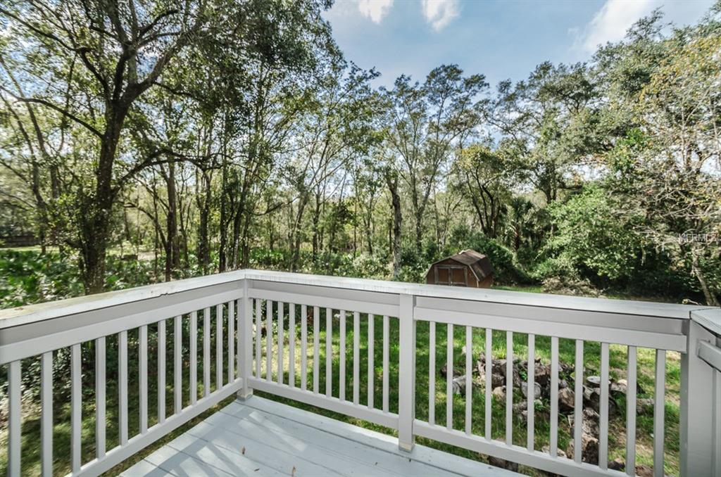 18812 CARR DRIVE, LUTZ, Florida 33559, 5 Bedrooms Bedrooms, 9 Rooms Rooms,4 BathroomsBathrooms,Residential,For sale,CARR,T2914264