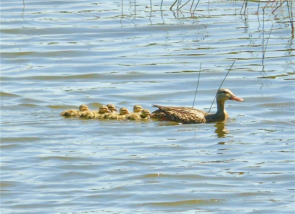 10185 WINDING RIVER ROAD, PUNTA GORDA, Florida 33950, 3 Bedrooms Bedrooms, 4 Rooms Rooms,2 BathroomsBathrooms,Residential,For sale,WINDING RIVER,C7248214