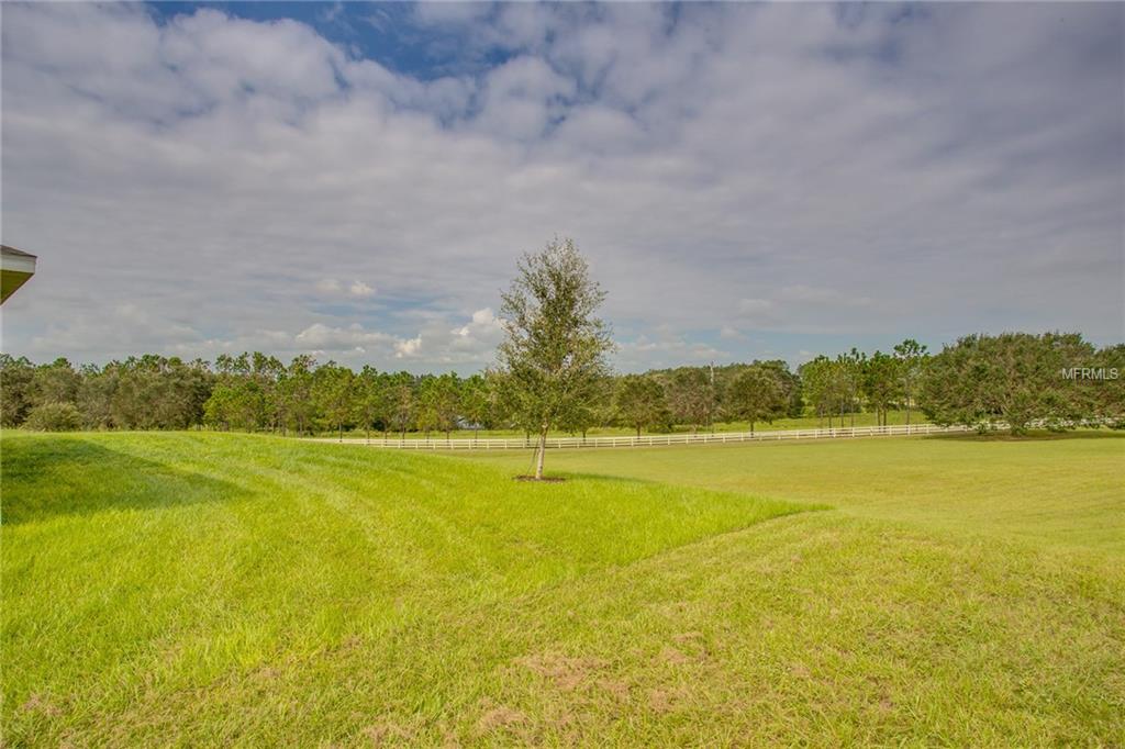 199 BLACKSTONE CREEK ROAD, GROVELAND, Florida 34736, 5 Bedrooms Bedrooms, 10 Rooms Rooms,3 BathroomsBathrooms,Residential,For sale,BLACKSTONE CREEK,G4847150