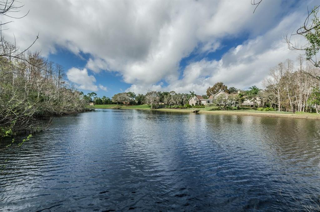 994 CYPRESS LAKES BOULEVARD, TARPON SPRINGS, Florida 34688, 6 Bedrooms Bedrooms, 4 Rooms Rooms,4 BathroomsBathrooms,Residential,For sale,CYPRESS LAKES,U7828537