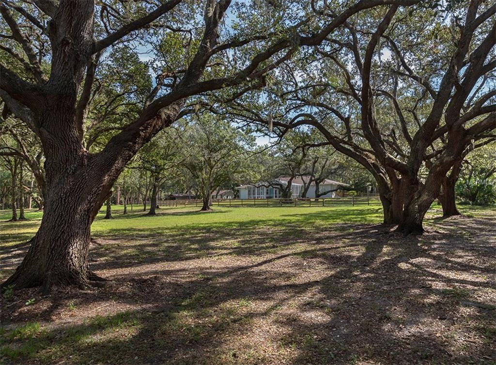 7868 SADDLE CREEK TRAIL, SARASOTA, Florida 34241, 5 Bedrooms Bedrooms, 7 Rooms Rooms,5 BathroomsBathrooms,Residential,For sale,SADDLE CREEK,A4198552