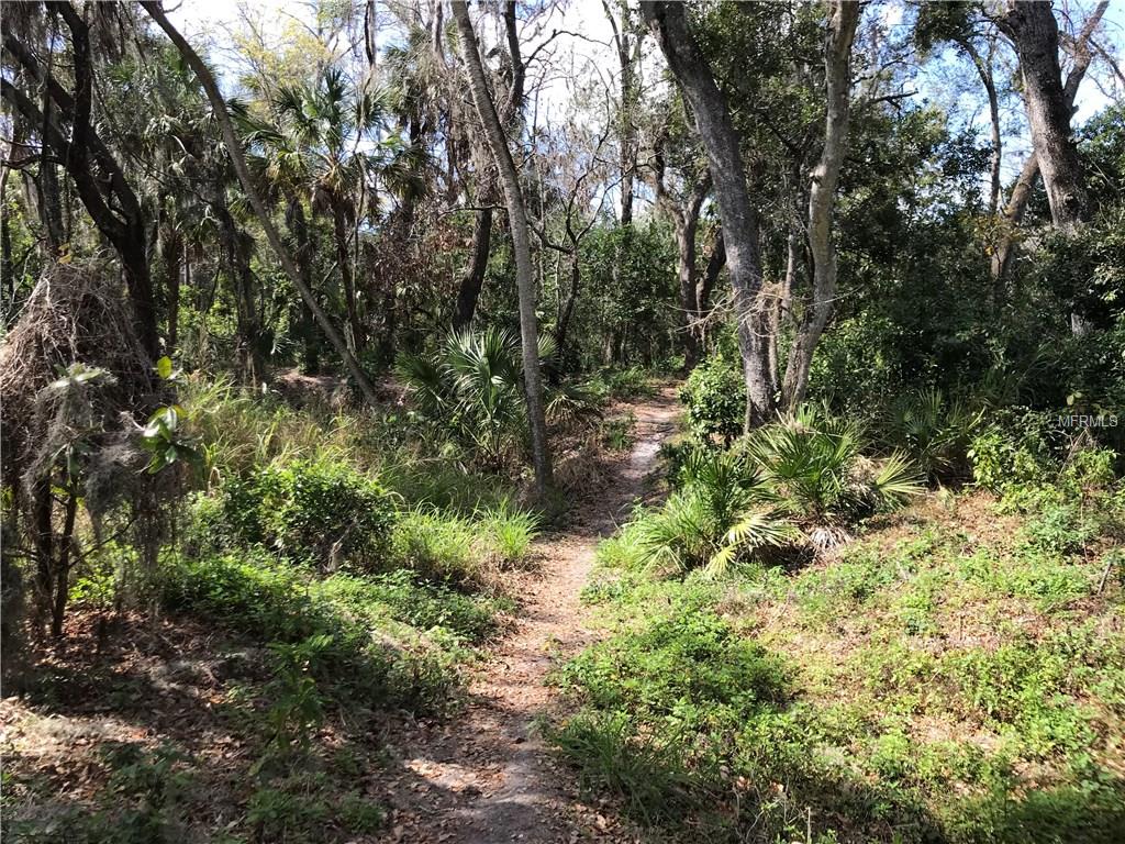 1802 BROOKHAVEN DRIVE, SARASOTA, Florida 34239, 3 Bedrooms Bedrooms, 9 Rooms Rooms,2 BathroomsBathrooms,Residential,For sale,BROOKHAVEN,A4210092